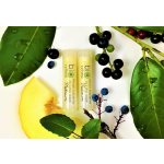 Biorythme Balzám na rty s chia olejem Meloun 4,8 ml – Sleviste.cz