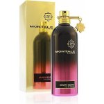 Montale Starry Nights parfémovaná voda unisex 100 ml – Hledejceny.cz