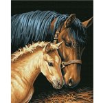 Norimpex Diamantové malování Klisna s hříbětem 30 x 40 cm – Zboží Mobilmania