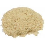Salvia Paradise Psyllium 10 g – Hledejceny.cz