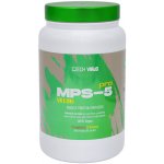 Czech Virus MPS-5 PRO Vegan 1000 g – Hledejceny.cz