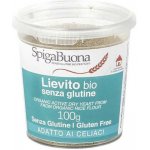 SpigaBuona Droždí sušené aktivní Bio 100 g – Hledejceny.cz