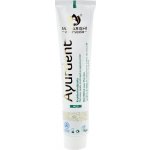 Maharishi Ayurveda Ajurvédská bylinná Mild 75 ml – Hledejceny.cz