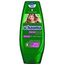 Schauma Push Up šampon 400 ml