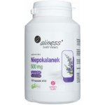 Aliness Plod keře Vitex (Vitex Agnus-Castus) 500 mg 100 kapslí – Hledejceny.cz