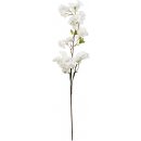 Umělá větvička s květy - bílá, Clayre & Eef