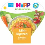 HiPP BIO Boloňské lasagne 250 g – Zbozi.Blesk.cz