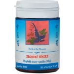 TCM Herbs Zrození Fénixe 009 prášek 30 g – Hledejceny.cz