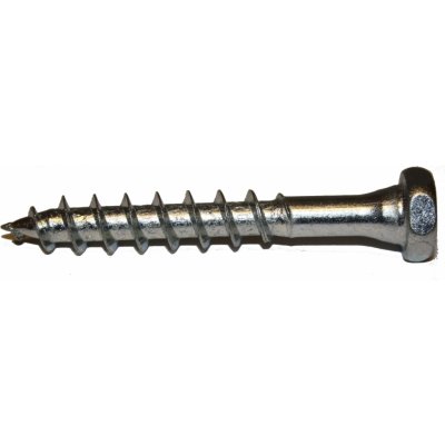 Vruty RAPI-TEC DUAL 12x80mm šestihranná hlava TX40 galvanický zinek – Zboží Mobilmania