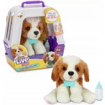 Moose Toys Interaktivní pejsek se zvuky a pohyby, s přepravkou – Hledejceny.cz