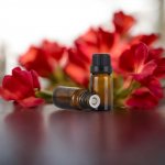 LHF esenciální olej Ginger Flower 10 ml – Hledejceny.cz