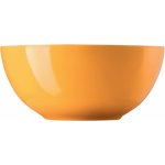 Thomas miska Sunny Day Orange 18 cm – Hledejceny.cz