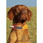 Non-Stop obojek Dogwear SAFE – Zboží Dáma Non-Stop obojek Dogwear SAFE – Zboží Dáma