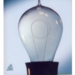 Fyzika II pro střední školy - Oldřich Lepil – Sleviste.cz