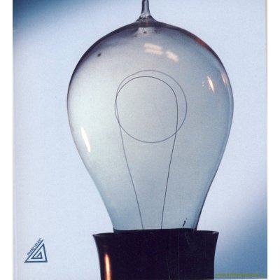 Fyzika II pro střední školy - Oldřich Lepil – Sleviste.cz