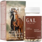 GAL Sensoril Ashwagandha 60 kapslí 28 g – Hledejceny.cz