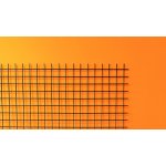 Síto, oko 30x30 mm, drát 3 mm (černé zinkování s trnem) 960x2002 mm – Zboží Mobilmania