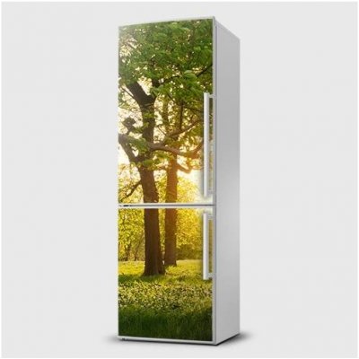 E-shop24 Pi51SL1240 Fototapeta samolepící na lednice - Strom Rozměr 65x180 cm