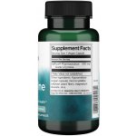 Swanson AjiPure L-Tyrosin 500 mg 60 kapslí – Hledejceny.cz