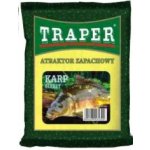 Traper Sypký Posilovač Big Fish 250 g – Hledejceny.cz