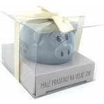 Albi Prasátko pro radost pokladnička Malé prasátko na velké sny 6 x 7,5 cm – Zboží Dáma