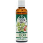 Naděje Hloh tinktura z pupenů rostlin 50 ml – Hledejceny.cz