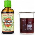 Bylinné kapky Trávení a slinivka kapky tinktura 50 ml – Hledejceny.cz