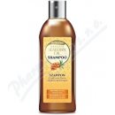 Biotter šampon s rakytníkovým olejem 250 ml