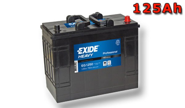 Exide Professional 12V 125Ah 640A EG1250