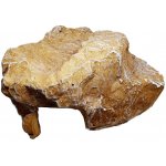 Komodo jeskyně žlutá M 18,5x18,5x10 cm – Zboží Dáma