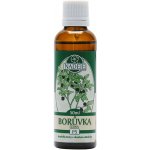 Naděje Borůvka černá tinktura z pupenů rostlin 50 ml – Hledejceny.cz