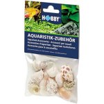 Hobby Sea Shells Set M 10 ks – Zboží Dáma