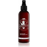Dapper Dan Sea Salt Spray 200 ml – Zboží Dáma