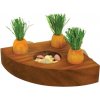Miska pro hlodavce Rosewood hračka pro hlodavce držák na pamlsky s mrkvičkami 10 x 10 cm