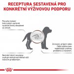 Royal Canin Veterinary Diet Dog Gastrointestinal Junior 10 kg – Zboží Mobilmania