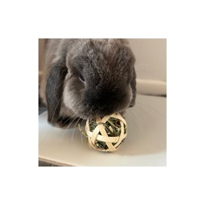 Trixie Bambusový míček s Timotejským senem 5 cm – Hledejceny.cz