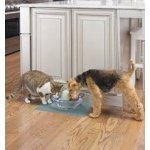 PetSafe Drinkwell Sedona keramická 3 l – Hledejceny.cz