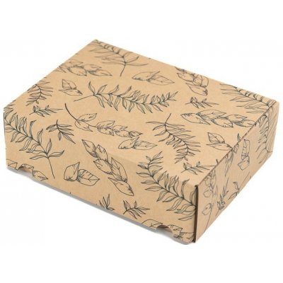 Eobaly.cz Dárková krabice s potiskem listů 245x185x75 mm 25 ks – Zboží Živě