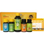 Atami Micro Kit ATA Organics Bio Bloombastic, 650ml – Hledejceny.cz