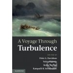 A Voyage Throught Turbulence Peter A. Davidson – Hledejceny.cz