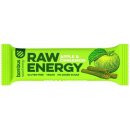 Energetická tyčinka Bombus RAW energy 20x50 g