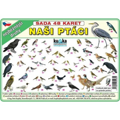 Nakladatelství Kupka Sada 48 karet - naši ptáci A5 21x15 cm – Hledejceny.cz