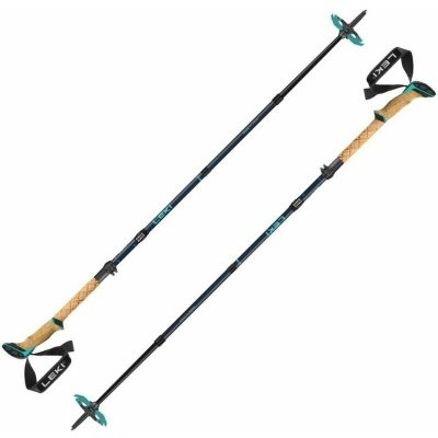 Leki Bernina FX Carbon – Sleviste.cz