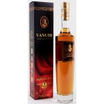 Ijevan Vanuhi 7y 40% 0,5 l (karton) – Sleviste.cz