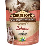 Carnilove Puppy Paté Salmon with Blueberries 300 g – Hledejceny.cz