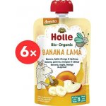 Holle Bio Banana Lama pyré banán jablko mango meruňka 6 x 100 g – Hledejceny.cz