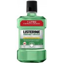 Listerine Teeth & Gum Defence ústní voda 1000 ml