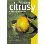 Pěstujeme citrusy v našich podmínkách – Zboží Mobilmania