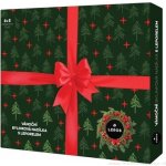 Leros Vánoční bylinková nadílka 6 x 5 sáčků – Hledejceny.cz