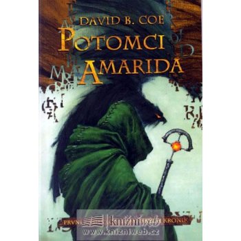 Lon Tobynské kroniky 1: Potomci Amarida - David B. Coe